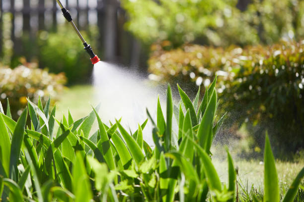Tamper-Resistant Bait Stations for Rodents in Altamont