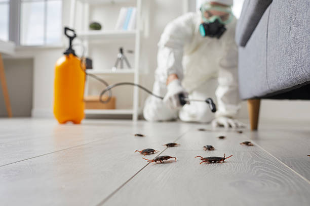 Commercial Rodent Management in Altamont